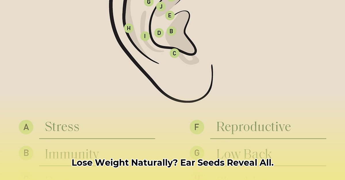 ear-seed-placement-for-weight-loss